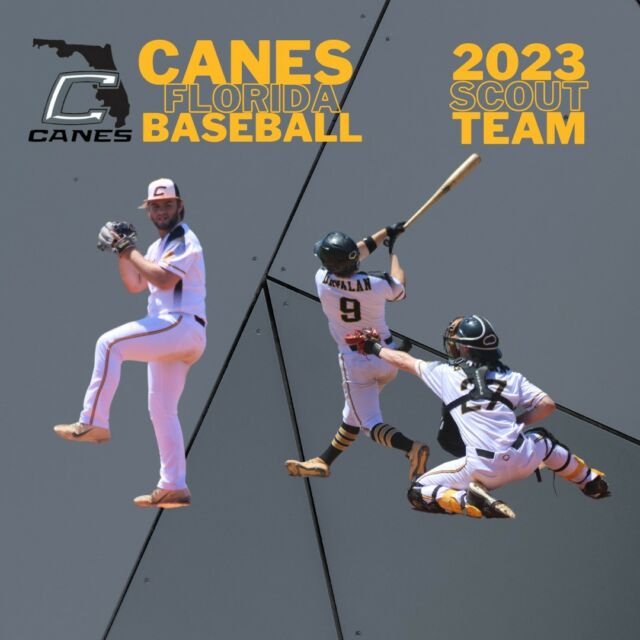 Join Our Club Canes Florida